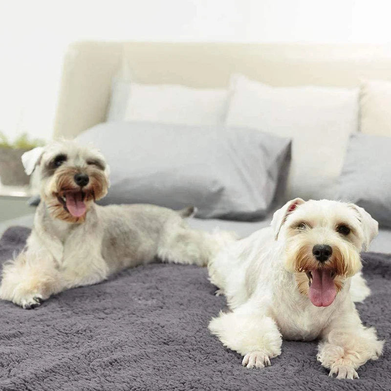 Cotton Velvet Pet Blanket - Soft Warm Dog & Cat Mat