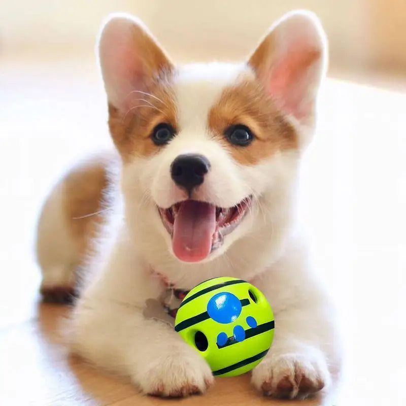 Giggle & Wobble Interactive Ball - Dog Toy